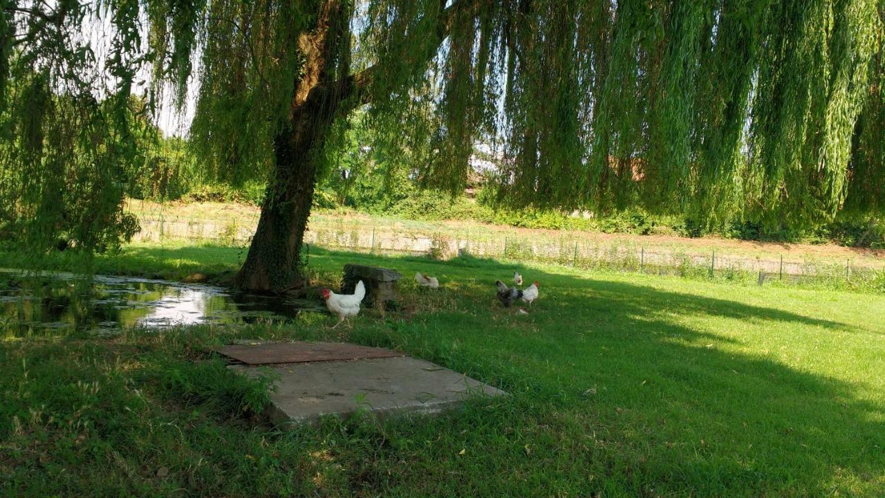 Agriturismo Cascina Poscallone Abbiategrasso Eksteriør bilde